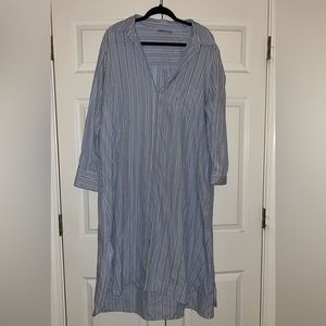 Zara Blue and White Striped Dress